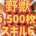 【ツムツム 】野獣！スキル6！5,500枚！ジャイロ必須！コイン稼ぎ！