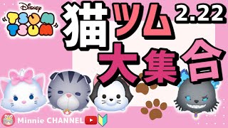 ✤ツムツム✤【2022.2.22猫の日】【解説つき】猫ツム大集合‼️