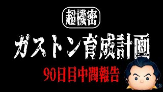 【ガストン育成計画】90日目時点のプレイ回数&消費コイン調べてみたらヤバかったｗ【ツムツム】