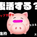 【ツムツム】ハム復活する？第三弾ピックアップガチャ