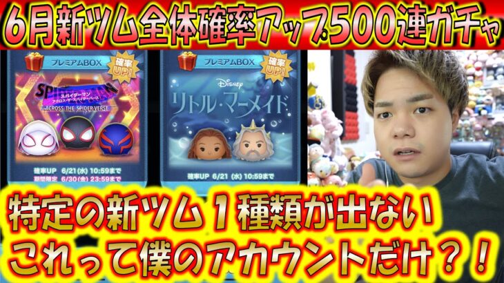 ずっと出ない新ツムが1種類！？6月新ツム全体確率アップ500連ガチャ確率検証！【こうへいさん】【ツムツム】