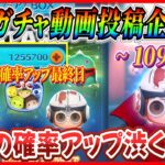 【109日目】毎日ガチャ企画！わずか数%の差がとんでもなくデカい!! マシュマロウバグ対応について思ったことを語ります【ツムツム】