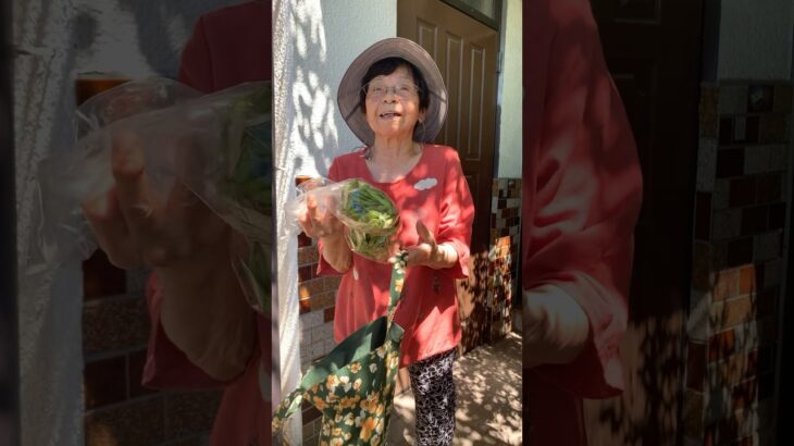 94歳ツムツムおばあちゃんご近所にお裾分け♥️👵