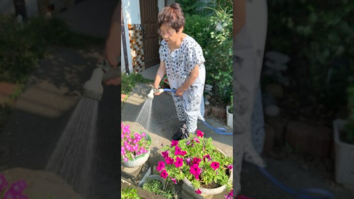 94歳ツムツムおばあちゃんお花に水💦やり👵♥️