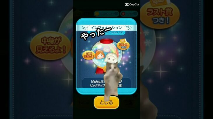 【#ツムツム】カジモドにスキチケ使ってみた！#Disney#ディズニー#shorts#ゲーム実況#猫ミーム#ピックアップ#ガチャ#可愛くてごめん#かわいいだけじゃだめですか