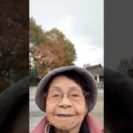 ９４歳ツムツムおばあちゃん👵紅葉狩りお天気イマイチ🍁残念😢