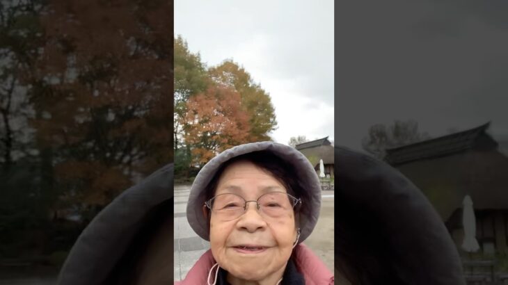 ９４歳ツムツムおばあちゃん👵紅葉狩りお天気イマイチ🍁残念😢