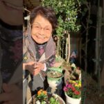 ９４歳ツムツムばあちゃん朝のご挨拶👵私の小さな庭から朝のご挨拶です🌸ようやく植え替え完成❤️これから水やり💦頑張るウーマン💪👵