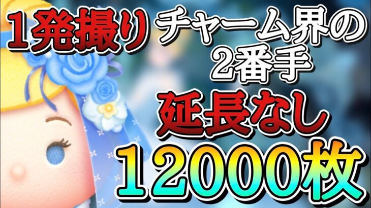 【ツムツム】フラワーシンデレラ スキル6 延長なし12000枚！1発撮り #ツムツム #セレボ #シンデレラ