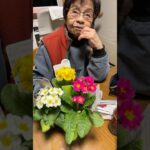 94歳ツムツムおばあちゃん長男がお花のプレゼント❤️👵