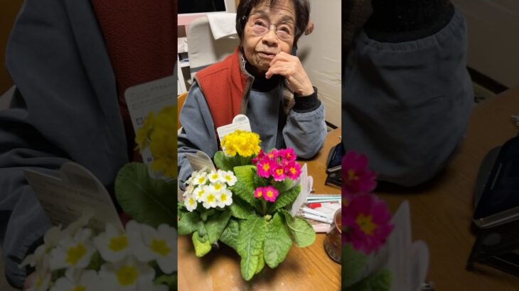 94歳ツムツムおばあちゃん長男がお花のプレゼント❤️👵