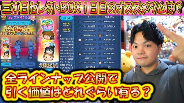 1日目は引くべき？三が日セレクトBOX1日目のツムの低スキルコイン力について過去のデータから紹介！【こうへいさん】【ツムツム】