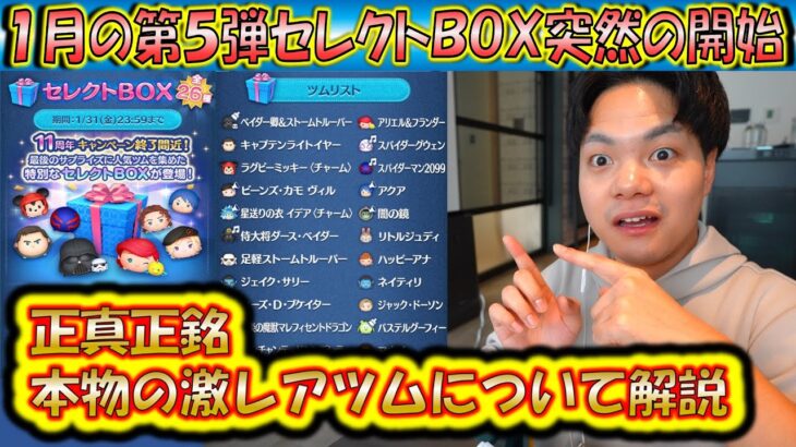 突如来た豪華セレクトBOX！中身のツムの本当の激レアツムについて解説！【こうへいさん】【ツムツム】