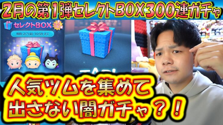 神引きならぬ闇ガチャ？！2月の第1弾セレクトBOX300連ガチャ確率検証！【こうへいさん】【ツムツム】