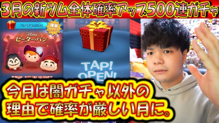 今月は全体の確率が大幅減少。3月の新ツム全体確率アップ500連ガチャ確率検証！【こうへいさん】【ツムツム】