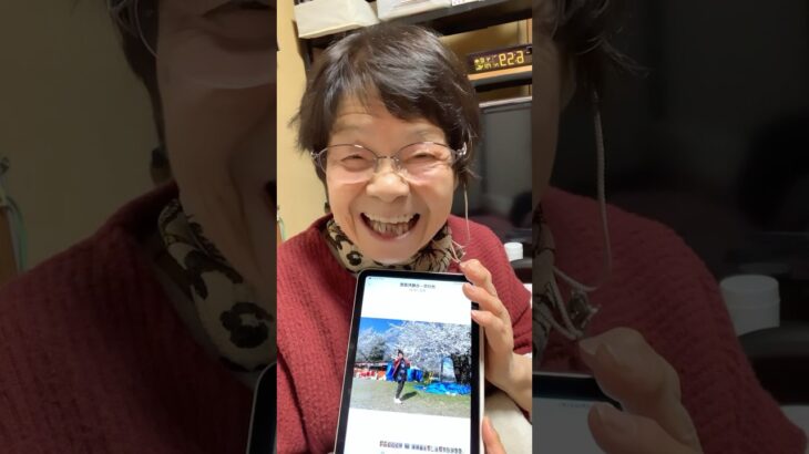 ９４歳ツムツムおばあちゃん朝のご挨拶👵good timing!満開🌸🌸🌸🌸🌸焼きまんじゅうでお花見🥰🎶