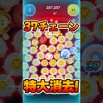 【新ツム】37チェーンで特大消去！スノーク【ツムツム】
