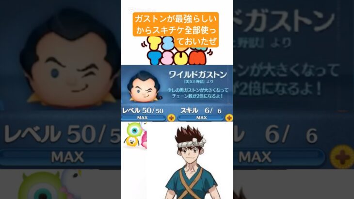 ガストンが最強らしいからスキチケ全部使っておいたぜ！！ #ディズニー #ばずれ #memes #すごい #おもしろ #ツムツム #ガストン
