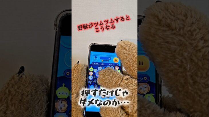 【ツムツム】野獣がツムツムするとこうなる #ツムツム #ネタ #tsumtsum #野獣