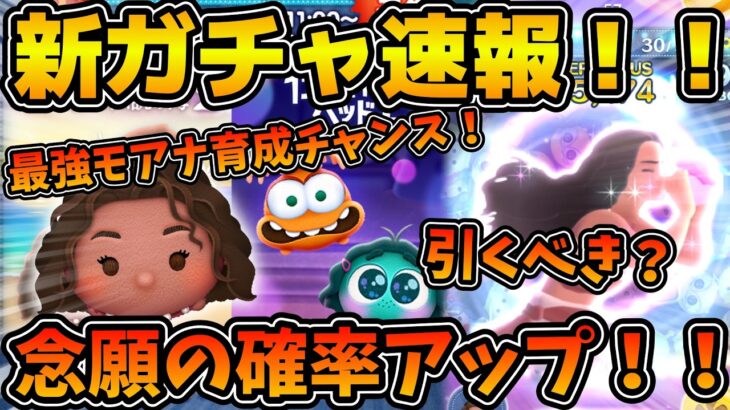 【ツムツム速報】17日ぶりの確率アップが来た！！モアナの育成大チャンスだけど引くべきか解説！！