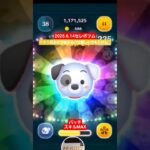 【ツムツム】2025.6.14セレボツム　パッチスキルMAX　コンボはよく伸びる　#ツムツム　#パッチ