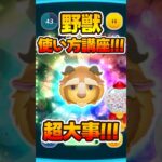 【ツムツム使い方解説】爆伸びするぞ!野獣スキル6コイン稼ぎ！