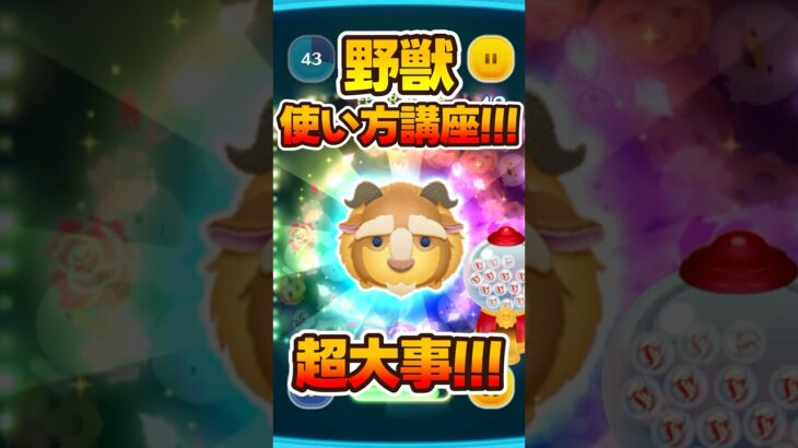 【ツムツム使い方解説】爆伸びするぞ!野獣スキル6コイン稼ぎ！