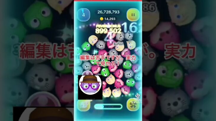 #ツムツム#ツムツム新人YouTuber大賞