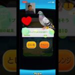 【ツムツム】#ツムツム #鳩#ハート#野獣先輩 #新ツム #ローズ
