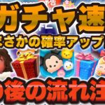 【ツムツム速報】まさかの新ガチャ解禁された！この後の流れに注意が必要！引くべきか解説！【確率アップ、導く者モアナ】