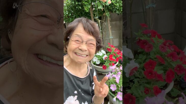 ９４歳ツムツムおばあちゃん朝のご挨拶👵我が家の小さなお庭からご挨拶🥰咲き乱れています🌸なぁーんて自己満足してるウーマン🥰👵❤️❤️❤️