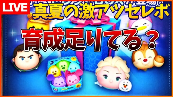 Cバズ、エルオラ、カラミ育成まだまだ諦めない応援LIVE8月17日【初見さん大歓迎】【コイン稼ぎ部】【ツムツム】