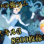 【ツムツム】SL.3 フラワーシンデレラ〈チャーム〉　8500コイン　(フルアイテム＆延長)