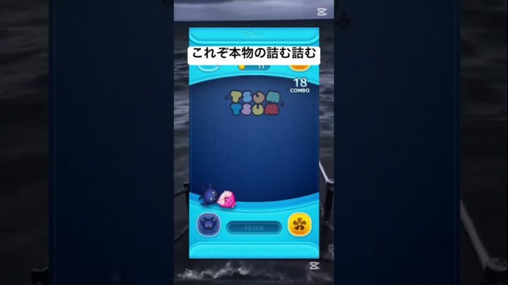 ﾂﾑ(ง ˙˘˙ )วﾂﾑ #面白い動画 #ツムツム