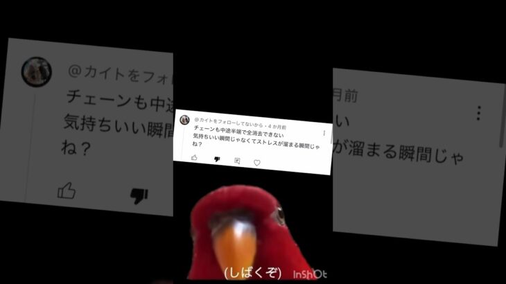 視聴者がそんなに言うなら…・！！！ #ツムツム