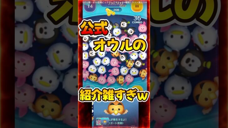 【ツムツム速報】公式の紹介雑すぎてww最新ピックアップガチャ情報解禁！