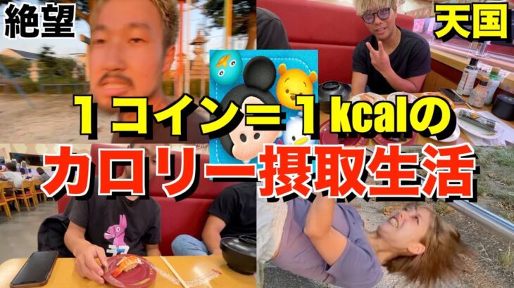 ツムツムで稼いだコイン分のカロリーしか摂取できない地獄の生活！！！！